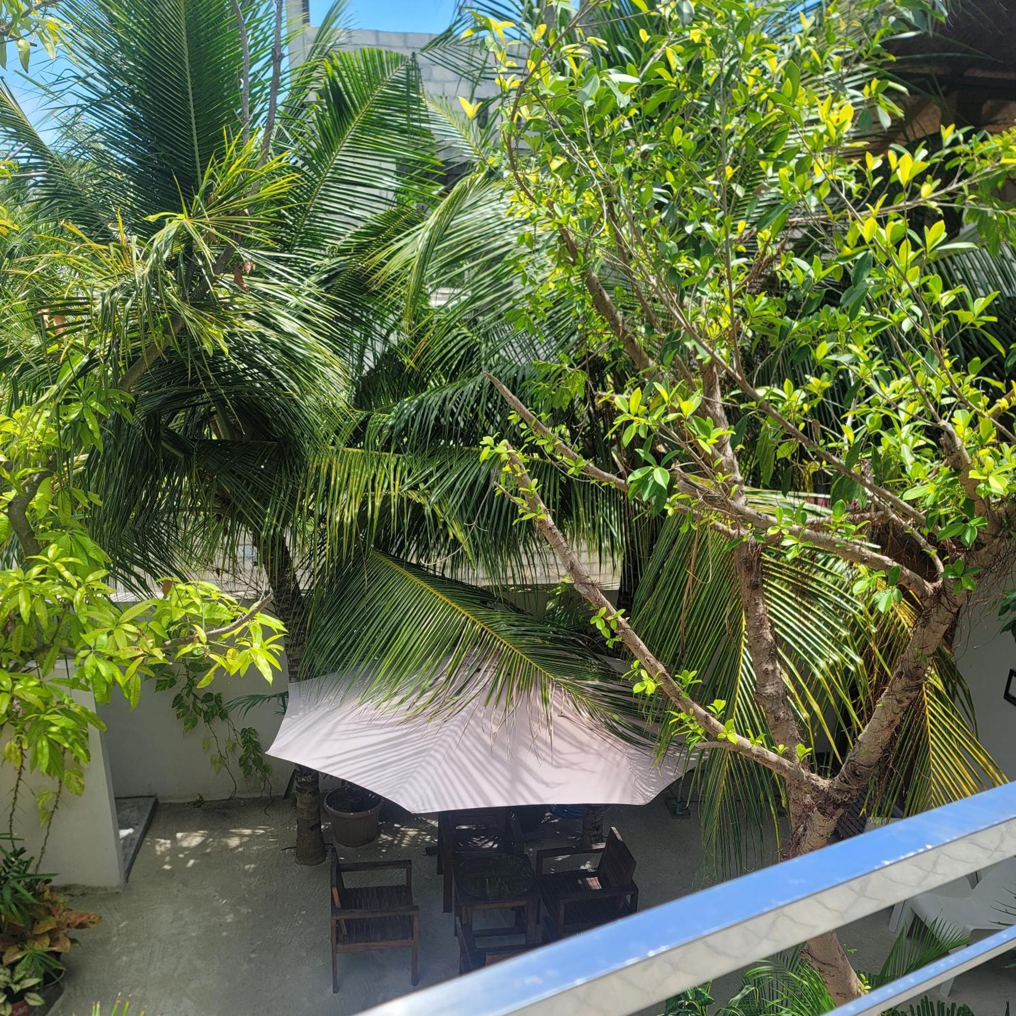 Palm Residence Rasdhoo Camera foto